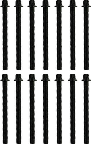 Reinz Cylinder Head Bolt Set 14-32005-02 for 1988-2008 BMW (750iL, 850Ci, 850CSi, 850i)