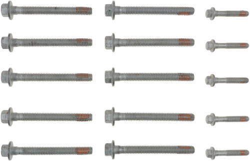 Reinz Cylinder Head Bolt Set 14-10089-01 for 2004-2009 GMC/Chevrolet/Cadillac 5.3L 6.0L V8