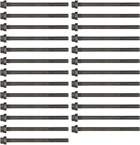 Reinz Cylinder Head Bolt Set 74-32241-00 for 2002-2008 Mini 1.6L L4 (Cooper)