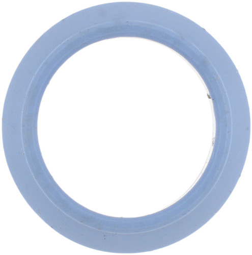 Reinz Exhaust Gas Recirculation (EGR) Tube Seal 71-13788-00 for 1998-2015 Chrysler/Dodge/Jeep 5.7L 4.7L V8