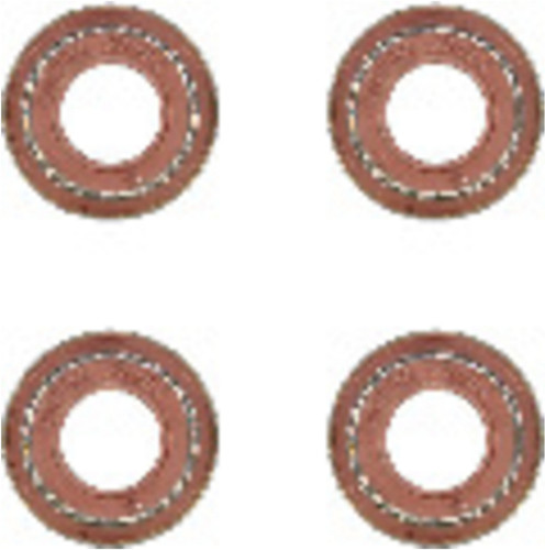 Reinz Valve Stem Seal Set 12-29491-05 for 1990-2008 Mercedes-Benz 5.0L 4.2L V8 (SLK230, C220, CL500, Sprinter)