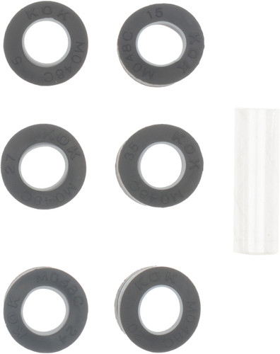 Reinz Valve Stem Seal Set 12-10038-01 for 1960-1969 Chevrolet 2.3L 2.4L H6 (Corvair Truck, Corvair)