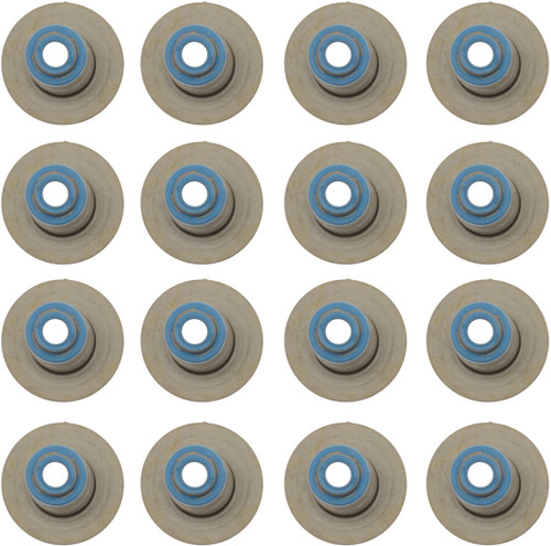 Reinz Valve Stem Seal Set 12-10045-01 for 2003-2008 Dodge/Chrysler/Jeep 5.7L V8 (Ram 1500, Ram 2500, Ram 3500, Durango)
