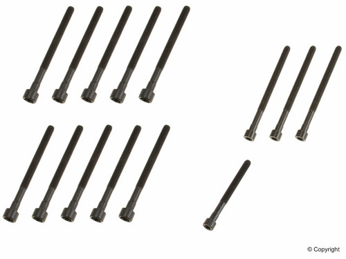 Elring Head Bolt Set for 2004-2015 BMW Z4/X3/X5/125i/128i 2.5L 3.0L