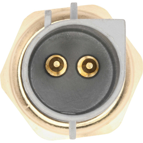 Holstein Engine Coolant Temperature Sensor 2CTS0282