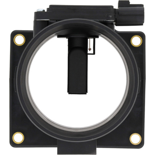 Holstein Renumbered to 2MAF0080 2MAF0033