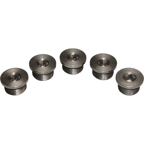 Walker Products Oxygen Sensor Bung Plug 90-200SSP