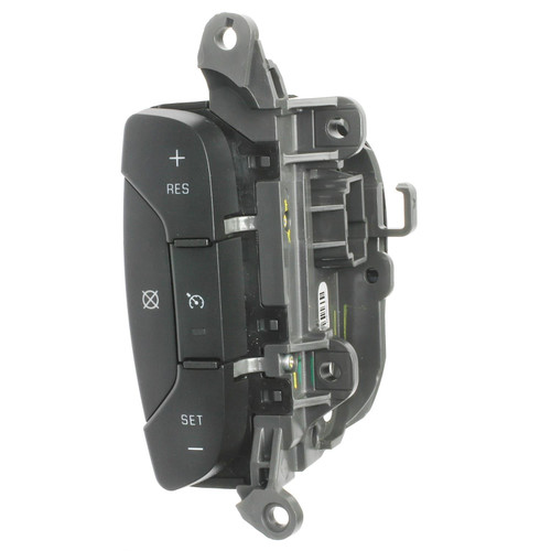 Standard Ignition Cruise Control Switch DS-2156