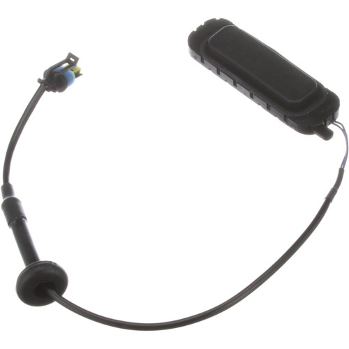 Standard Ignition Liftgate Release Switch DS-2178