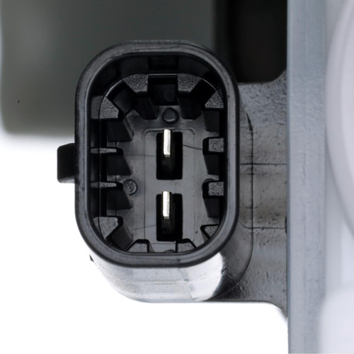 Standard Ignition Fuel Vapor Canister CP3136 - connector view