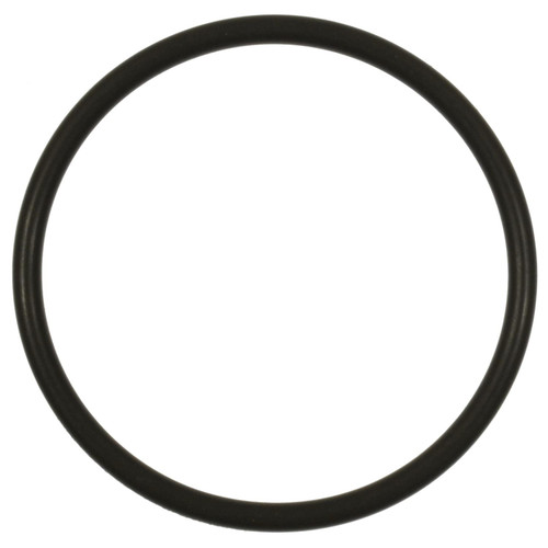 Standard Ignition Fuel Pump O-Ring GDR101 - front view