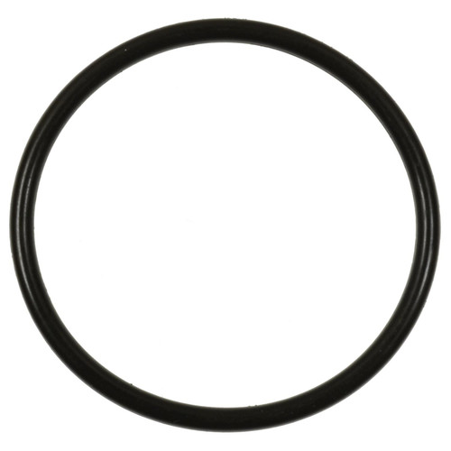 Standard Ignition Fuel Pump O-Ring GDR102 - front view