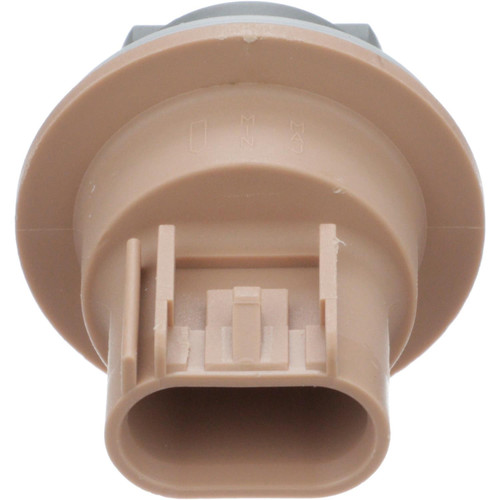 Standard Ignition Park and Turn Signal Socket S2552 - right view