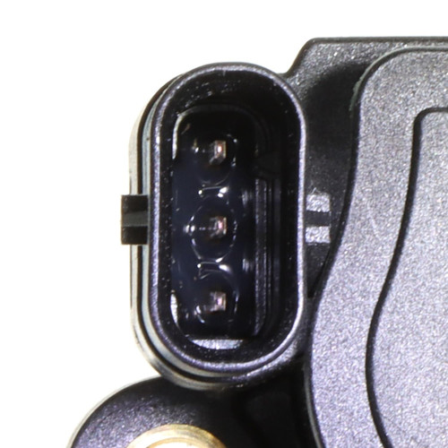 Standard Ignition Variable Valve Timing Solenoid VVT811 - connector view