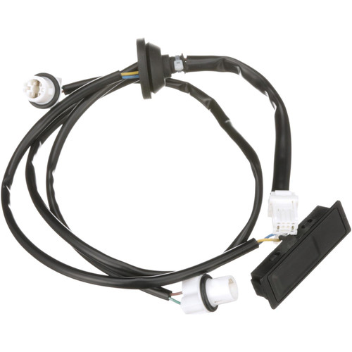 Standard Ignition Liftgate Release Switch LSW108 - angled view