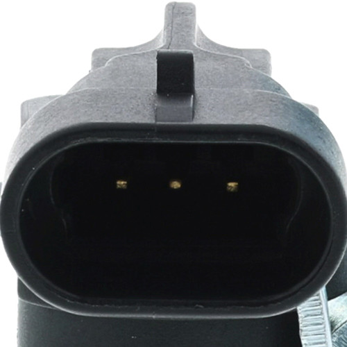 Motorad Engine Crankshaft Position Sensor 1KR161 - connector view