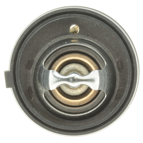 Motorad Thermostat-195 Degrees w/ Seal 425-195