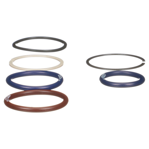 Delphi Fuel Injection Nozzle O-Ring Kit HTK124
