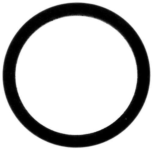Four Seasons Black O-Ring 24520