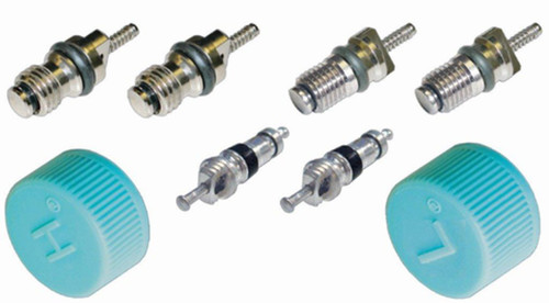 Four Seasons Cap & Valve A/C System Seal Kit for 1994-2019 Hyundai/Kia 3.8L 5.0L (Accent, Azera, Elantra, Entourage) 26862