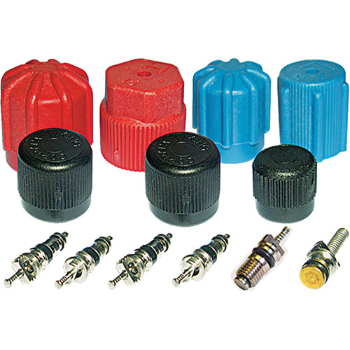 GPD Cap and Valve Kit 1311567 for 1949-2019 Acura/Alfa Romeo/Audi 1.8L 1.6L (Integra, Legend, GTV-6, Spider)