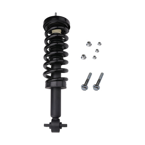 Complete Strut Assembly 710420 - front view