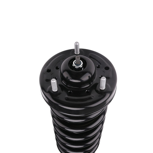 Complete Strut Assembly 710420 - bottom view