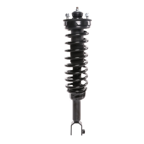 Complete Strut Assembly 810110 - front view