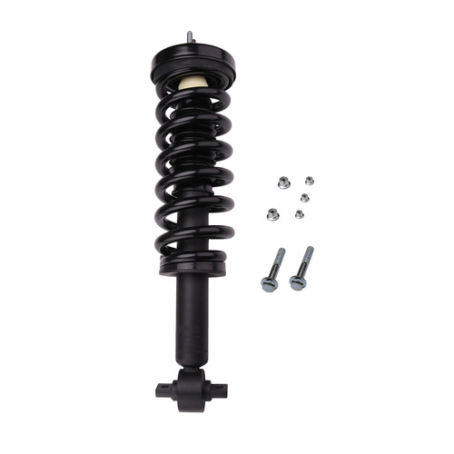 Complete Strut Assembly 710787 - front view