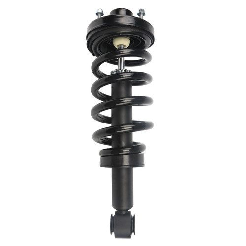 Complete Strut Assembly 710416 - top view