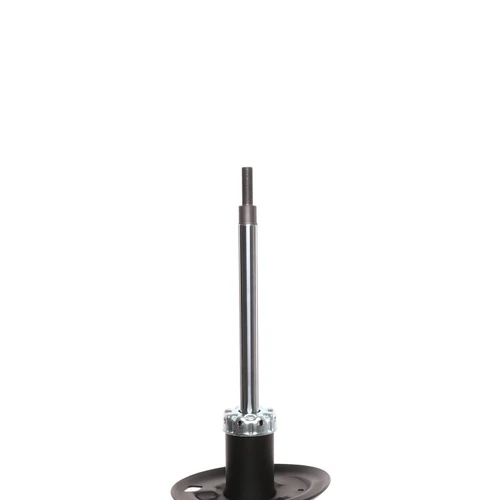 Suspension Strut 474934 - top view
