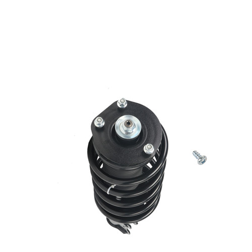 Complete Strut Assembly 813681