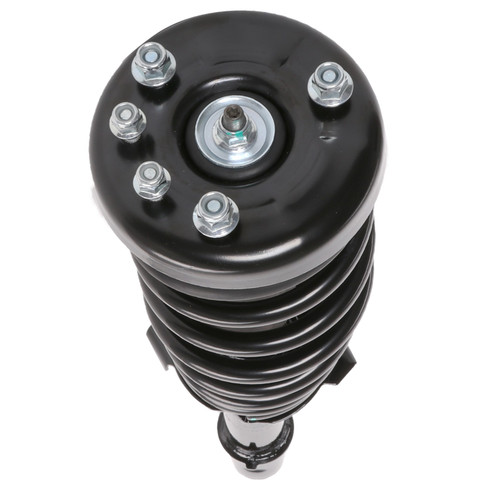 Complete Strut Assembly 811046L - bottom view