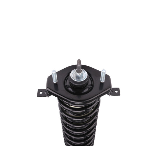 Complete Strut Assembly 815037 - bottom view