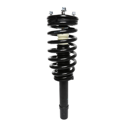 Complete Strut Assembly 815179 - front view