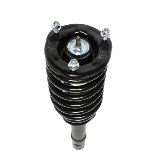 Complete Strut Assembly 815179 - bottom view