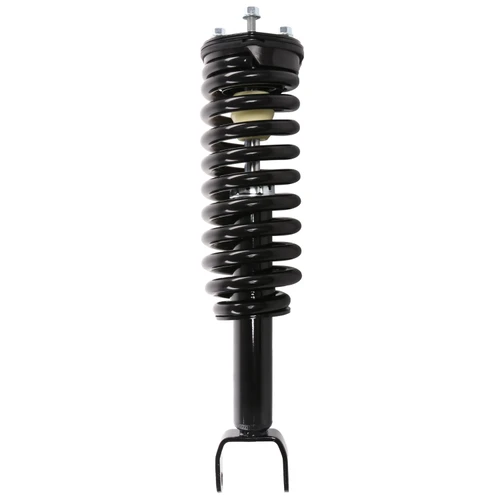 Complete Strut Assembly 813453 - front view
