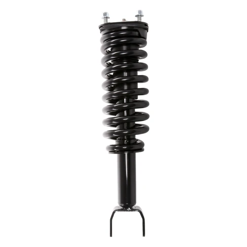 Complete Strut Assembly 813487 - top view
