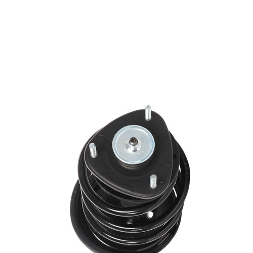 Complete Strut Assembly 815290 - bottom view