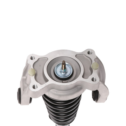 Complete Strut Assembly 816186 - bottom view