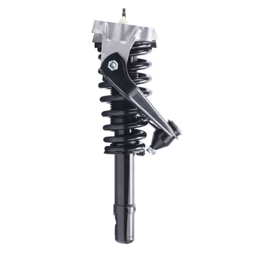 Complete Strut Assembly 816408 - front view