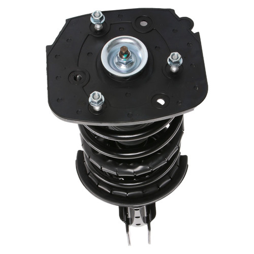 Complete Strut Assembly 815024 - bottom view