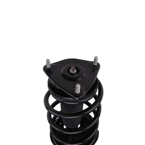 Complete Strut Assembly 815913 - bottom view