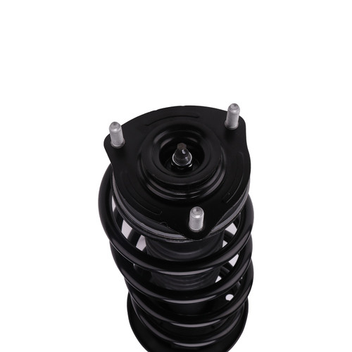 Complete Strut Assembly 817030 - bottom view