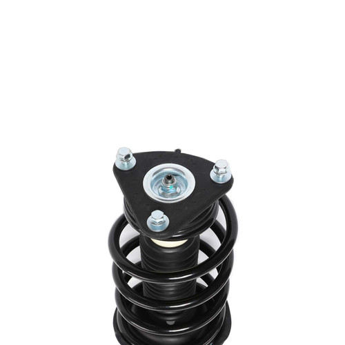 Complete Strut Assembly 817895 - bottom view