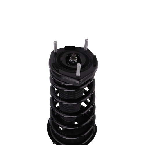 Complete Strut Assembly 817036 - bottom view