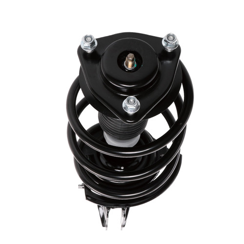 Complete Strut Assembly 816956 - bottom view