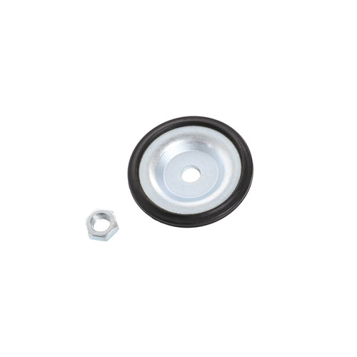 Complete Strut Assembly 818031