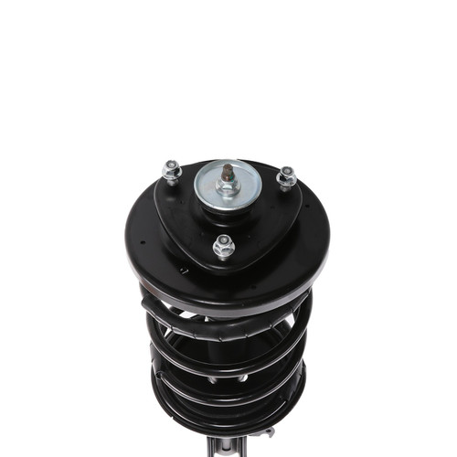 Complete Strut Assembly 818289 - bottom view