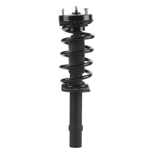Complete Strut Assembly 818291 - front view